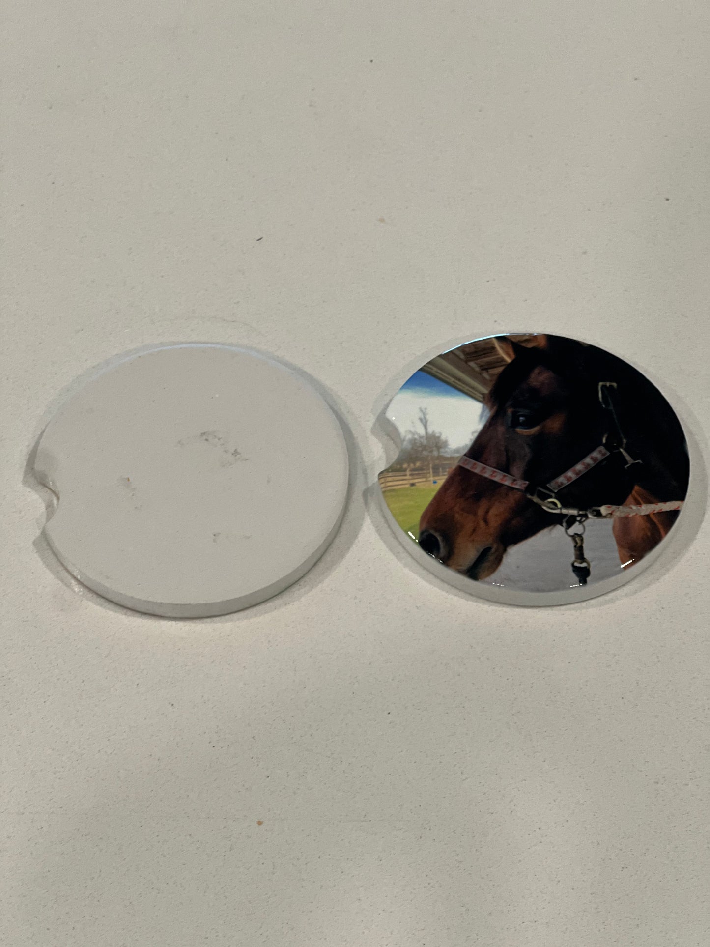 Sublimation Car Coasters (Set of 2) | Pet Memories & Milestones (Copy)