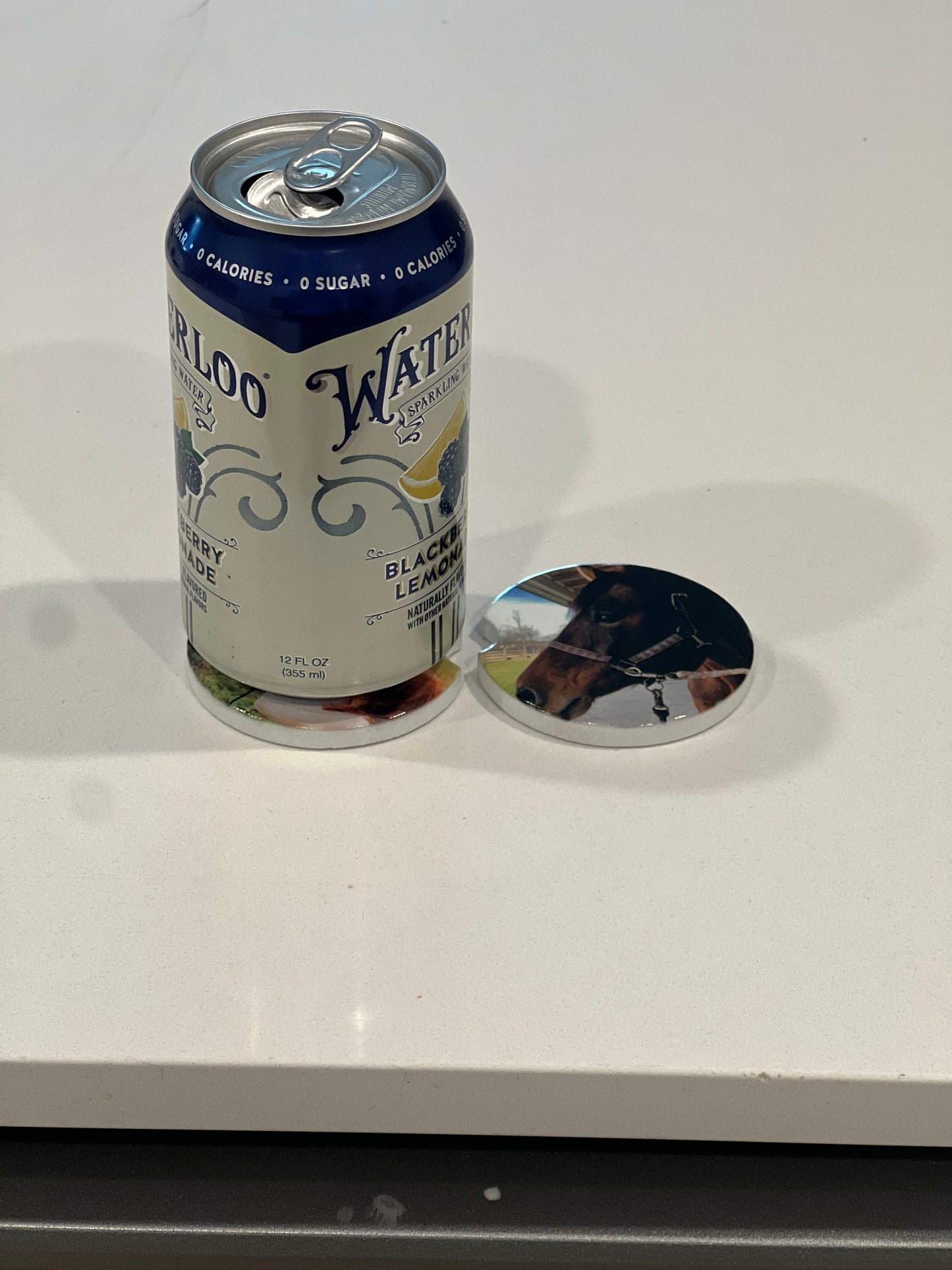 Sublimation Car Coasters (Set of 2) | Pet Memories & Milestones (Copy)
